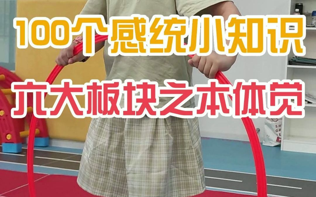 儿童感统六大板块之本体觉哔哩哔哩bilibili