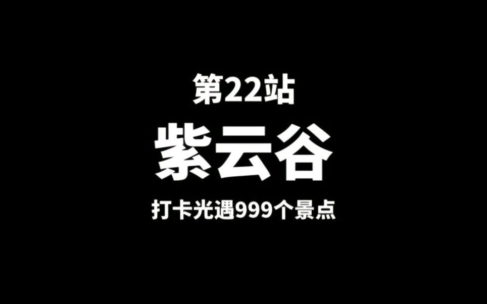 第22站【紫云谷】适合萌新体质的梦幻景点哔哩哔哩bilibili