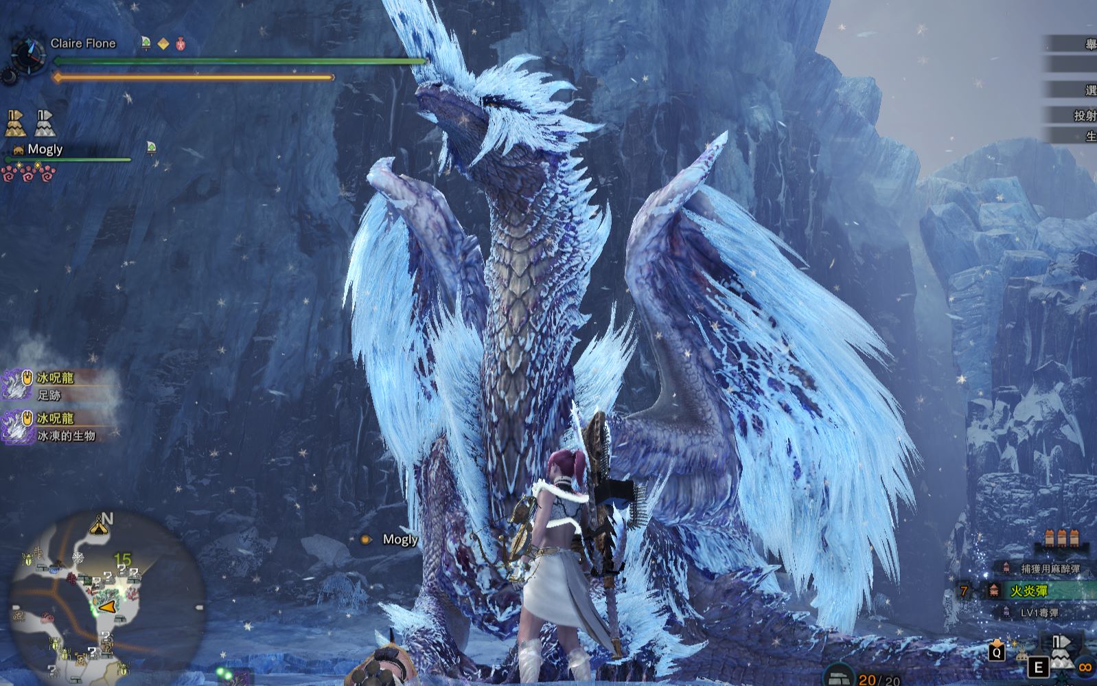 重弩通常弹-冰咒龙