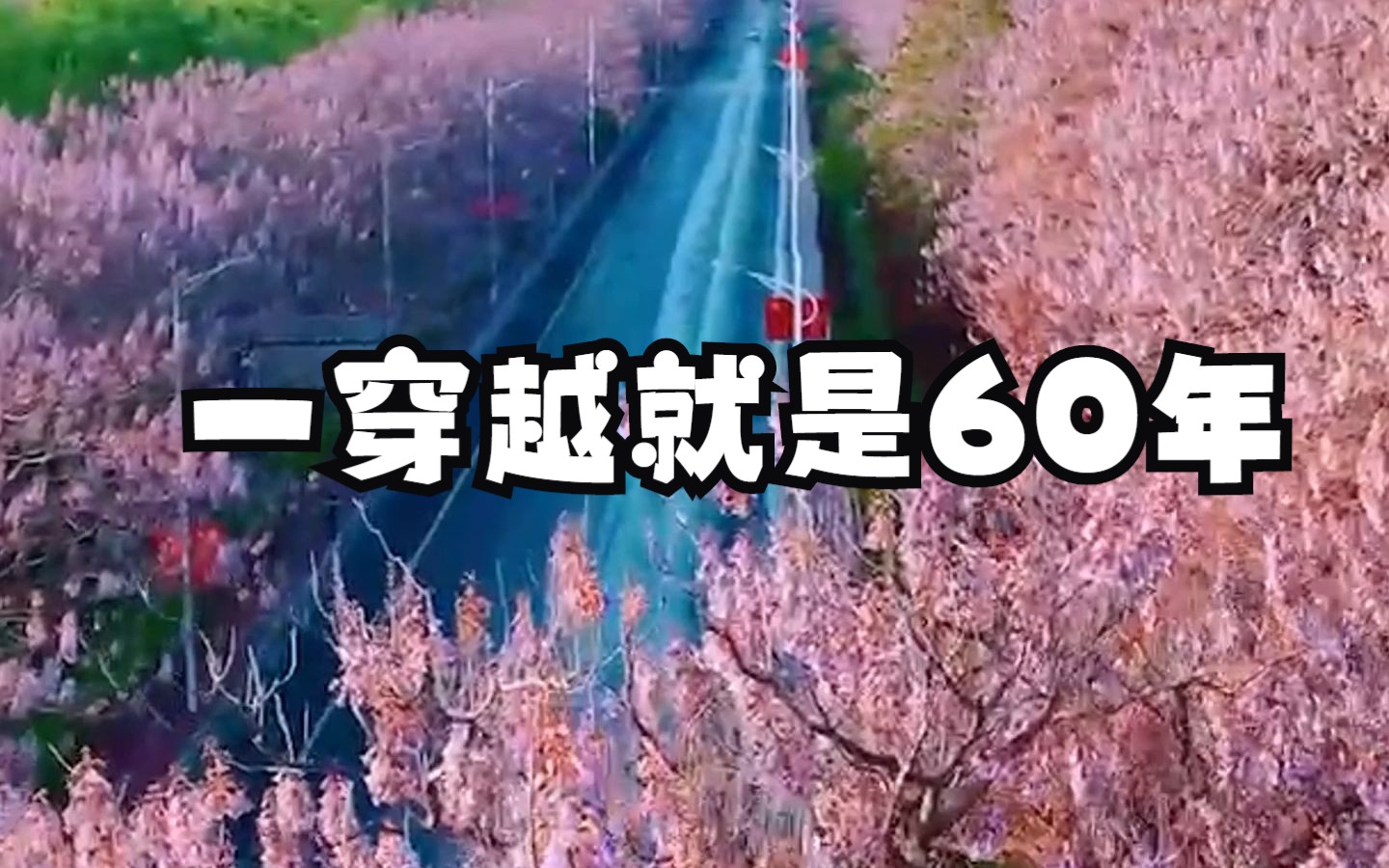 别眨眼!跟我穿越兰考60年!哔哩哔哩bilibili