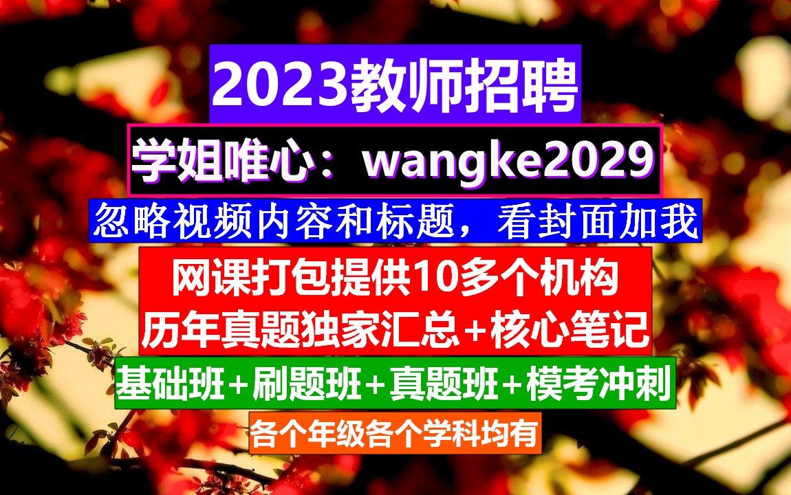 教师招聘英语学科,公办学校教师招聘流程,教师招聘公告哔哩哔哩bilibili