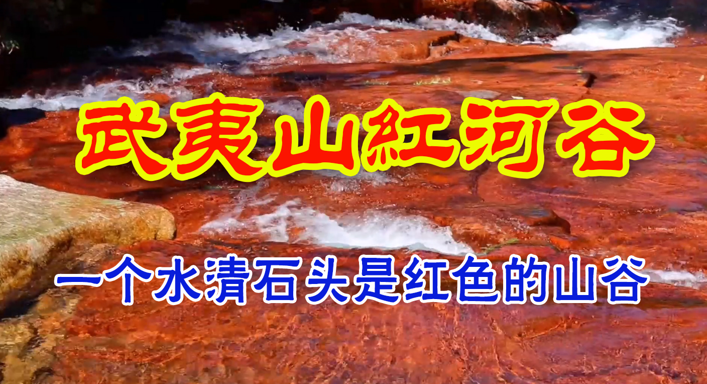 武夷山红河谷,一个藏在武夷山深处,没有几个人知道的地方哔哩哔哩bilibili