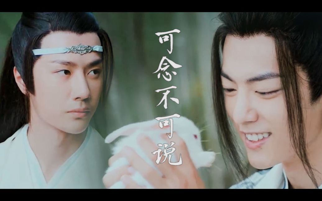 【陈情令|蓝忘机x魏无羡】爱是可念不可说哔哩哔哩bilibili