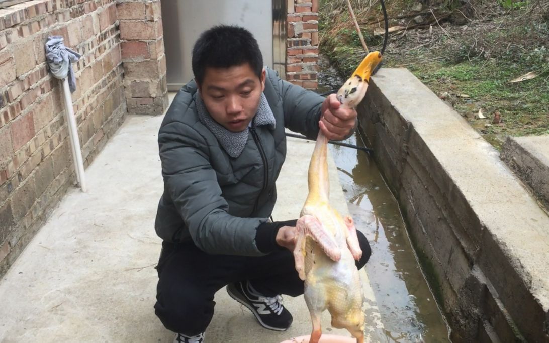 农村爷爷教你这一招,拔鸭毛像脱衣服一样快