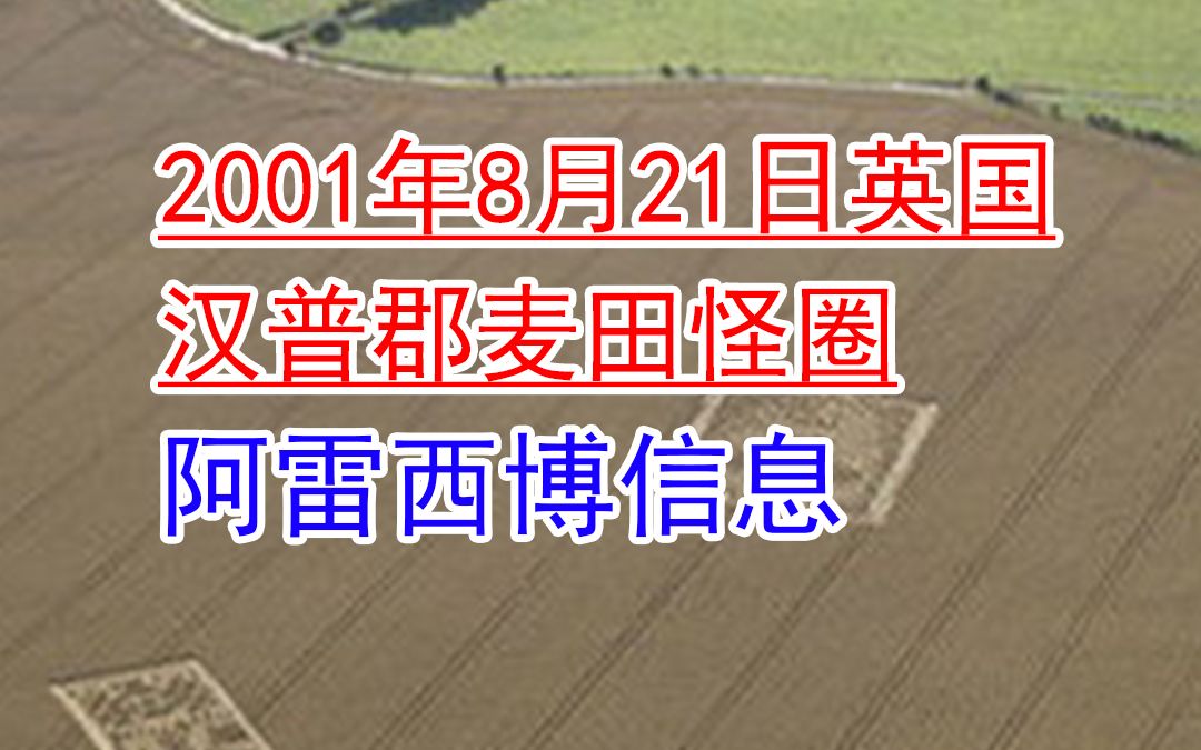 2001年8月14日英国威尔特郡阿雷西博信息麦田怪圈