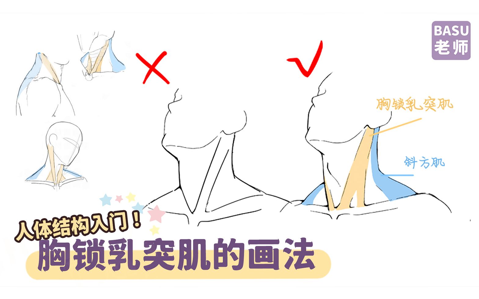 哥练的胸锁乳突肌,只给你画(?)哔哩哔哩bilibili