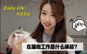 Download Video: 在猫咖工作是什么体验？