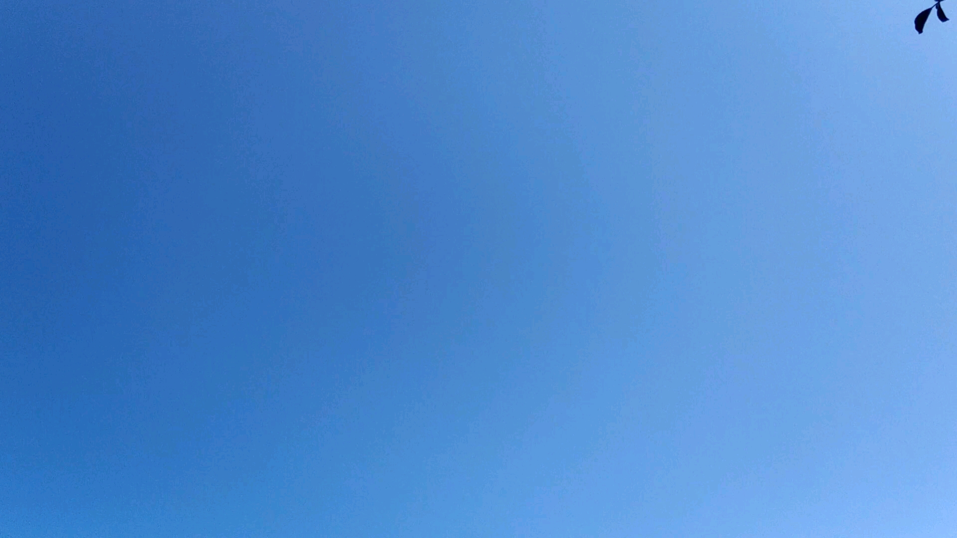 是湛蓝的天色