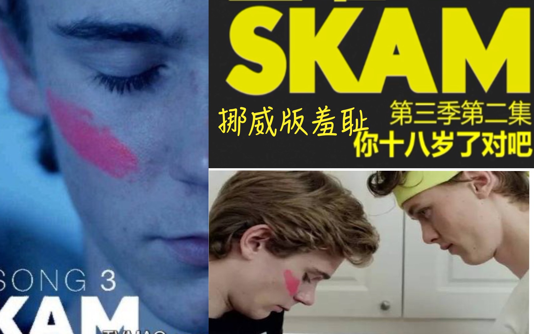 【腐剧】挪威版《SKAM/羞耻》小天使与北欧撩神天生一对配一脸,三十分钟高甜剪辑02哔哩哔哩bilibili