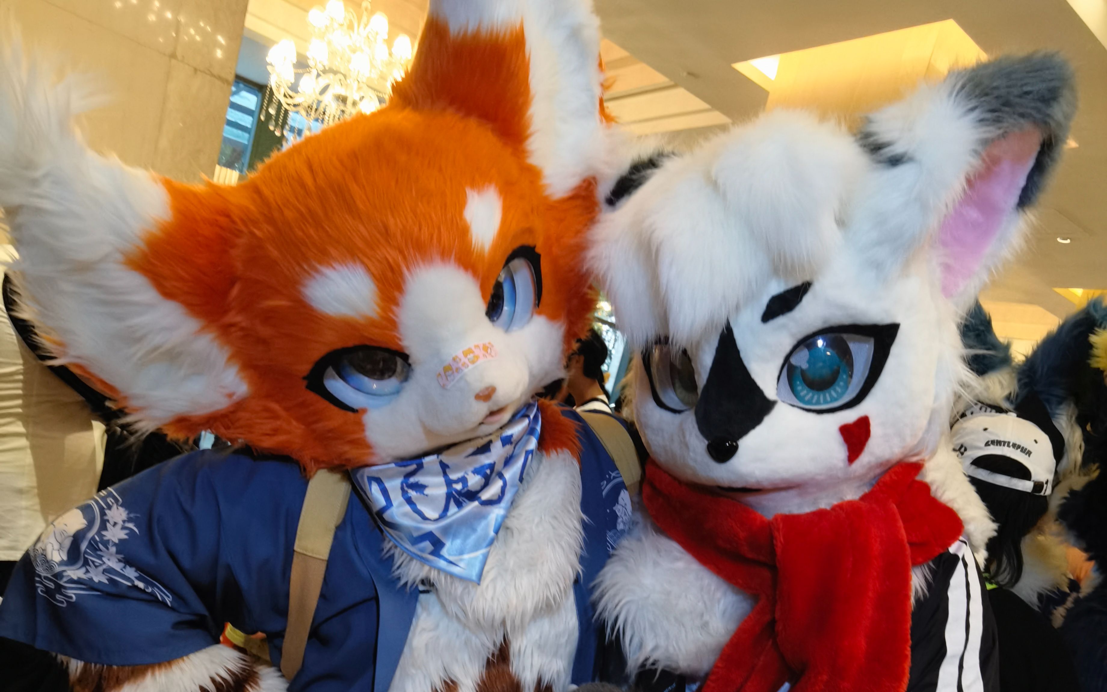 2021极兽聚(无人声照片纯享版)