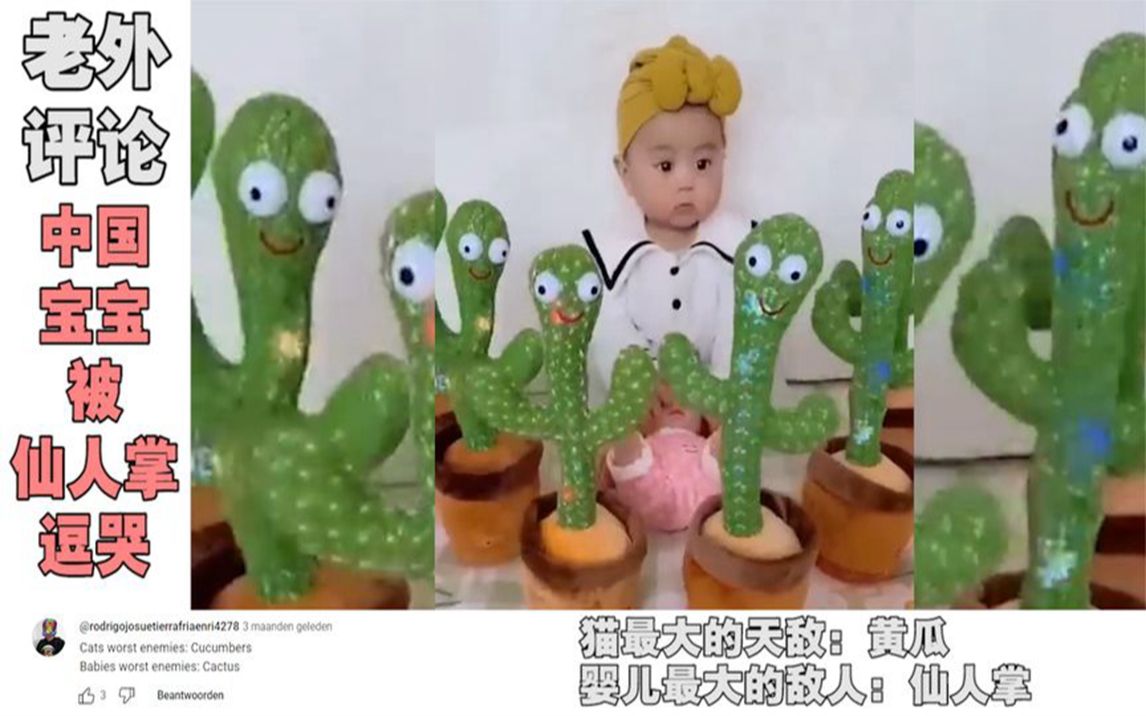 中国宝宝萌化老外,被仙人掌"逗哭"名场面,老外:太可爱了!