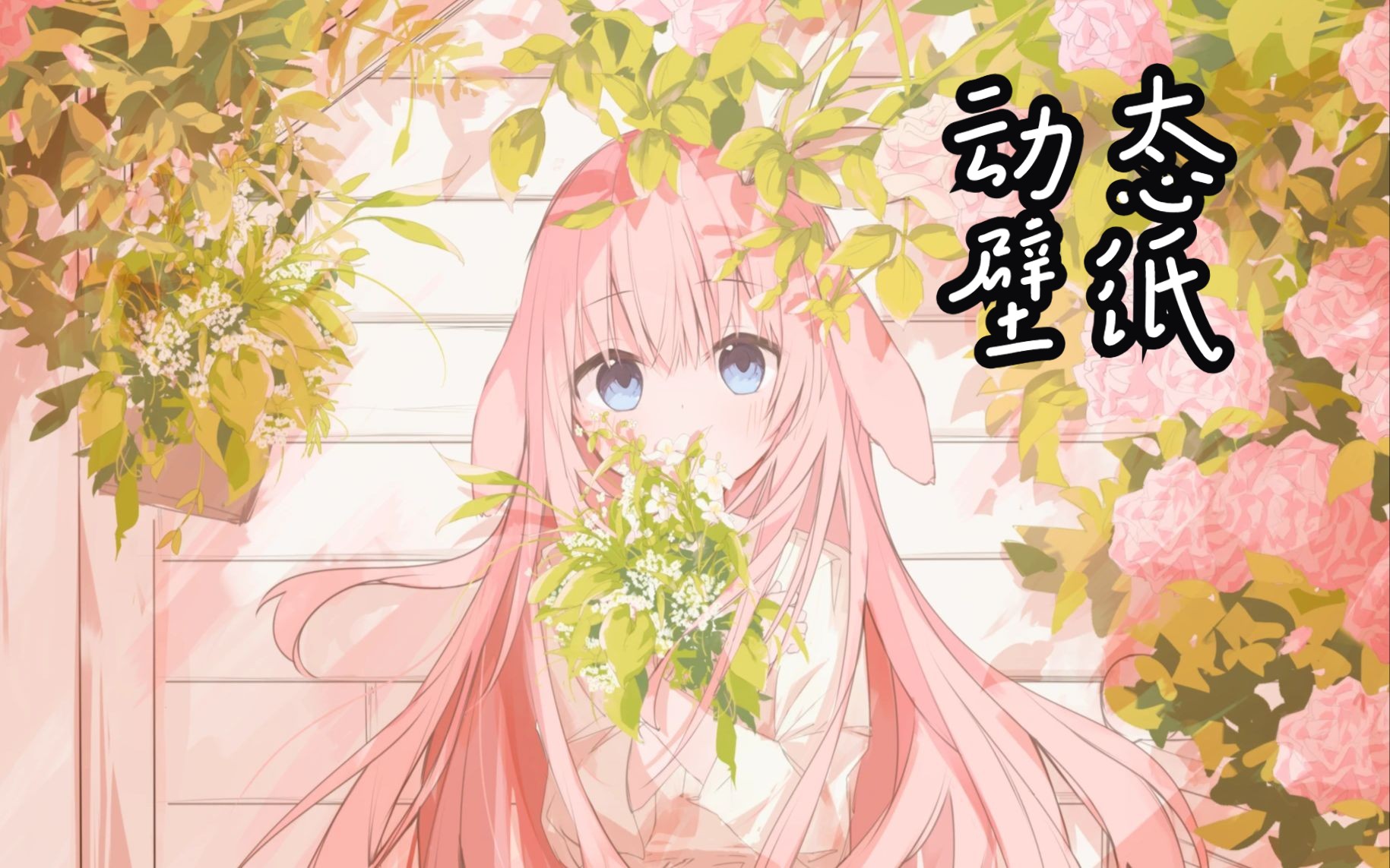【动态壁纸】一只粉色的垂耳兔叽