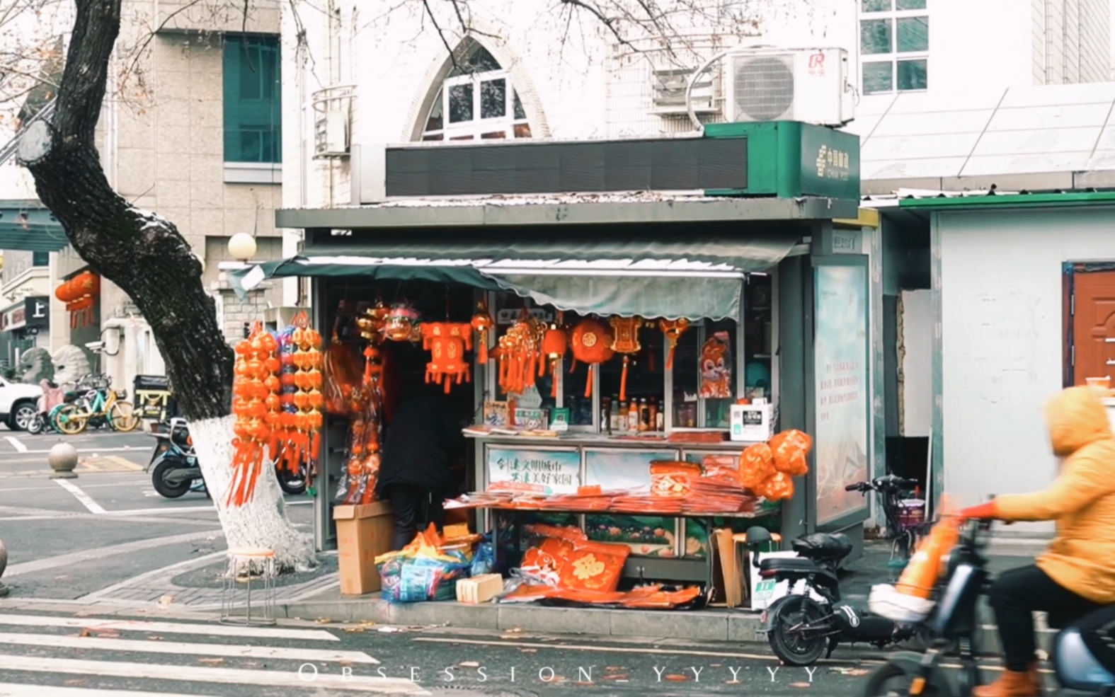 【4k】" 三号路依然长得没有尽头,梧桐荫还是枝繁叶茂.