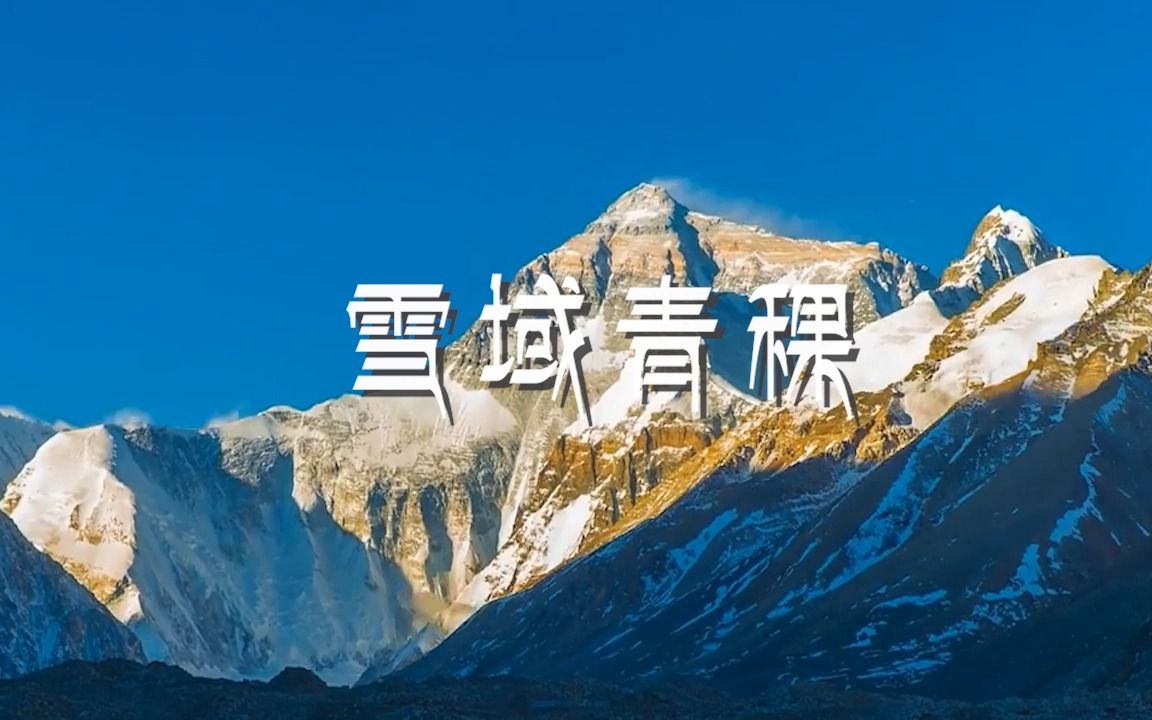 [图]旧时原创一首：雪域青稞