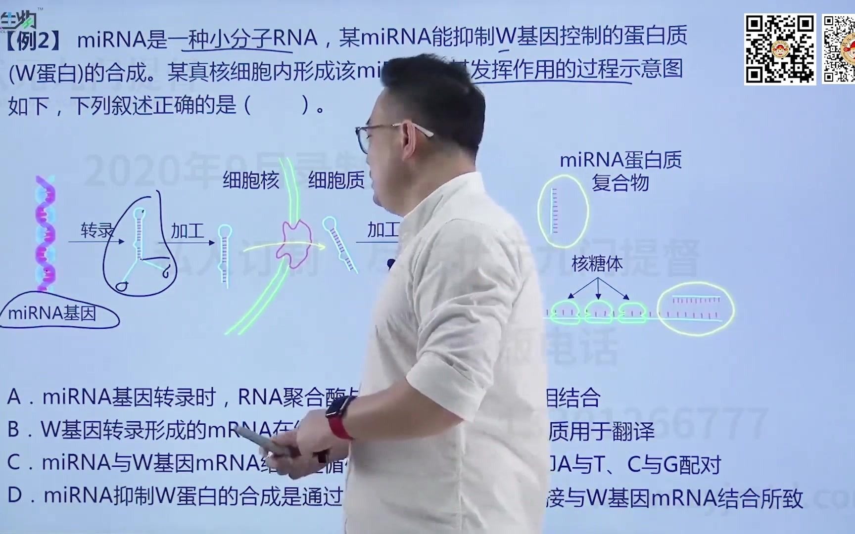 刘大鹏生物基因的表达哔哩哔哩bilibili