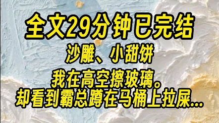 【全文已完结】我在高空擦玻璃.隔着玻璃的里面,霸总蹲在马桶上拉屎.哔哩哔哩bilibili