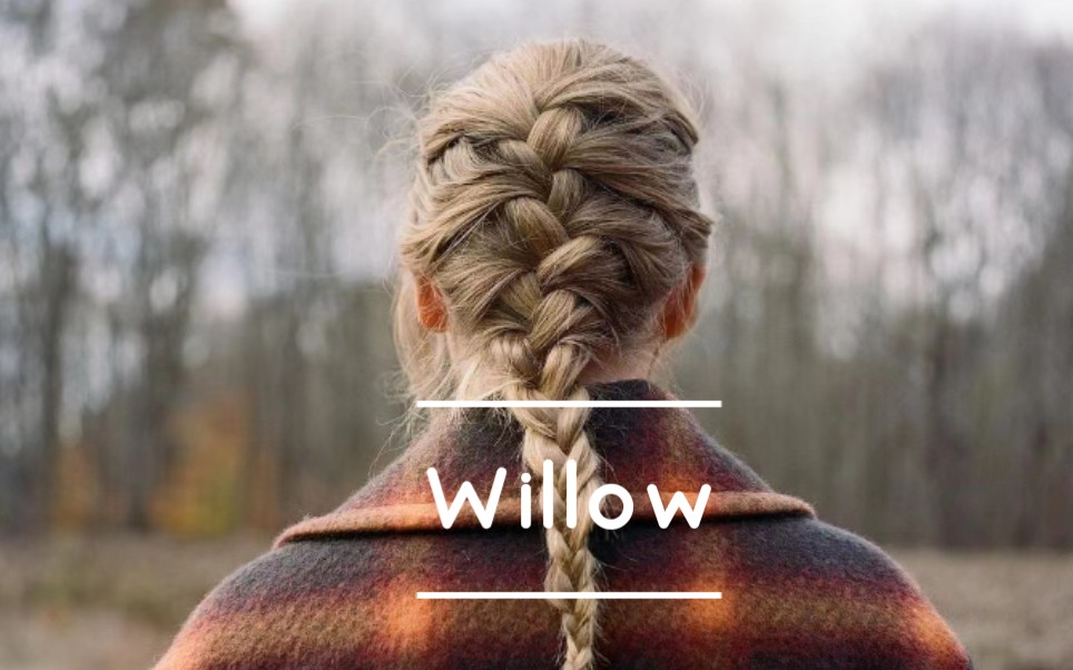 【圆体英文】taylor swift的新歌《willow》歌词抄写