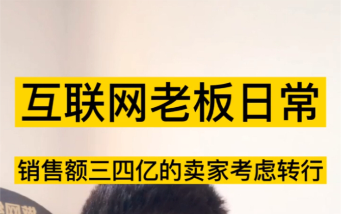 做电商真不赚钱吗?年销售额34个亿的卖家,利润只有300W?那钱到底让谁赚走了?哔哩哔哩bilibili