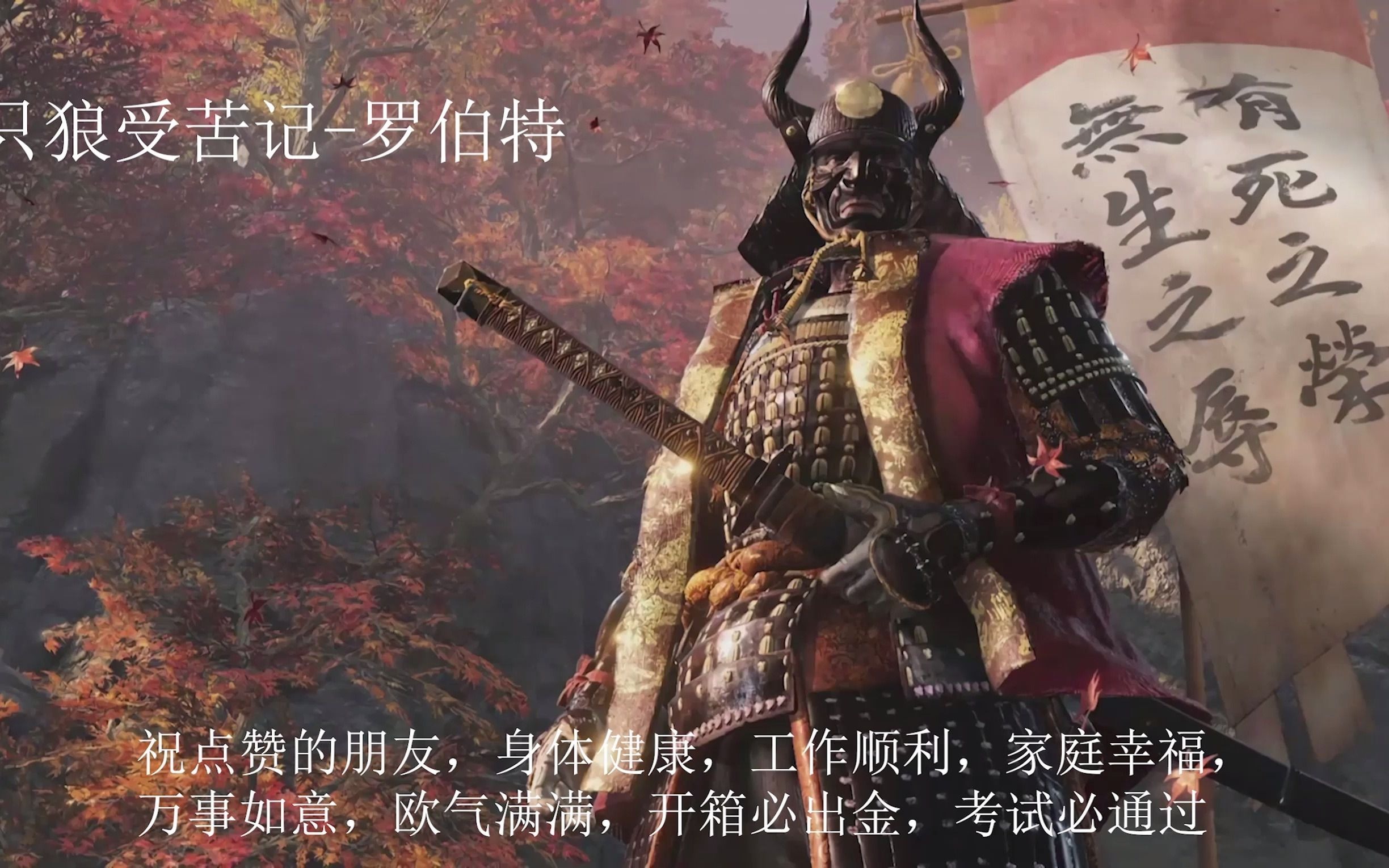 只狼受苦记-无伤罗伯特