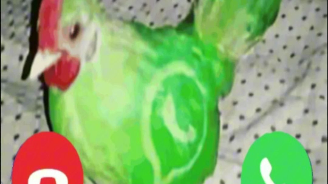 色盲传奇