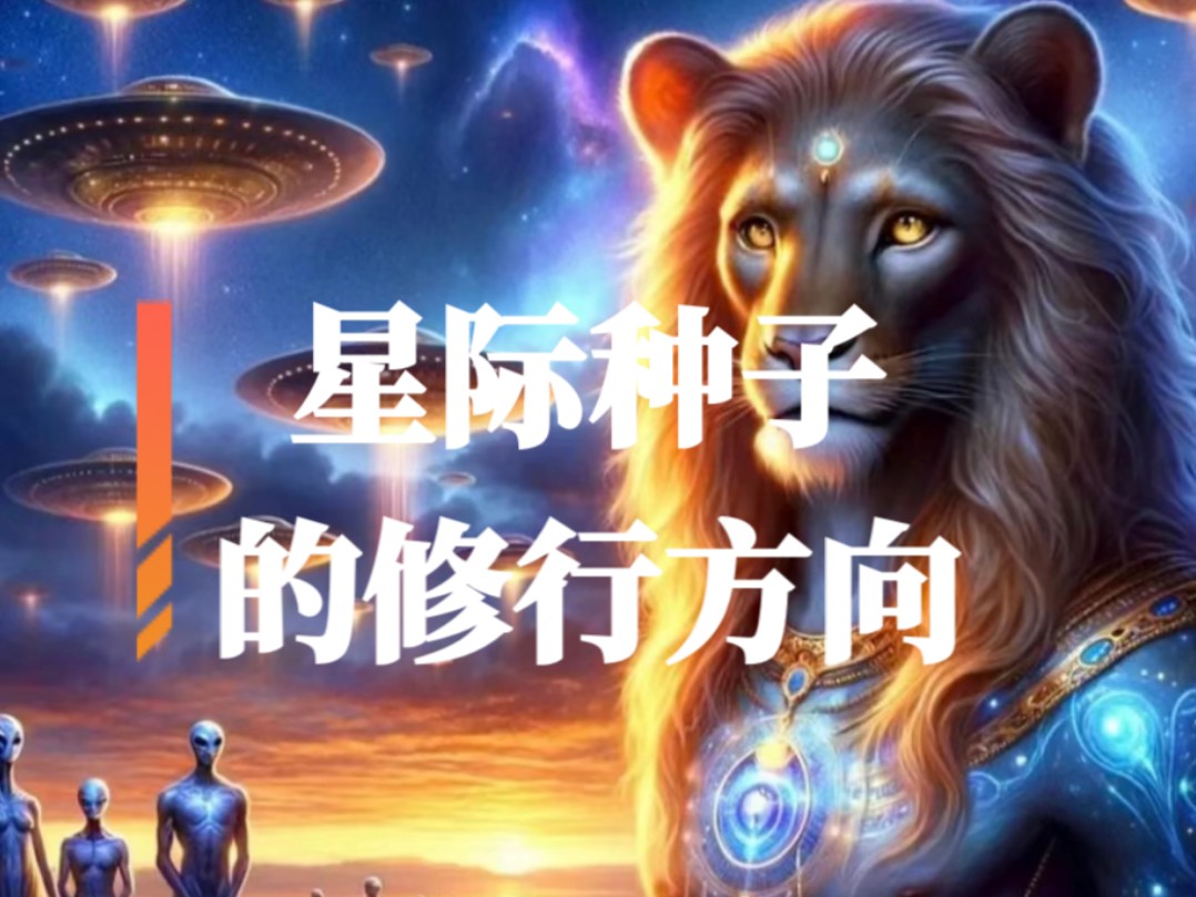 不同母星星际种子的修行重点是什么?哔哩哔哩bilibili