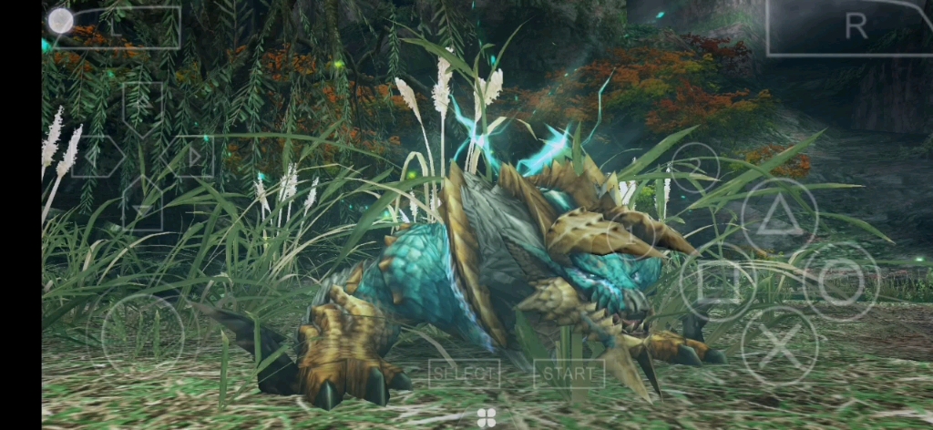 菜鸡新人经过磨难终于干倒小boss雷娘龙喜极而泣