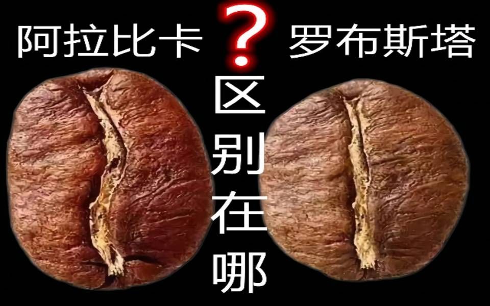 [图]阿拉比卡和罗布斯塔的区别