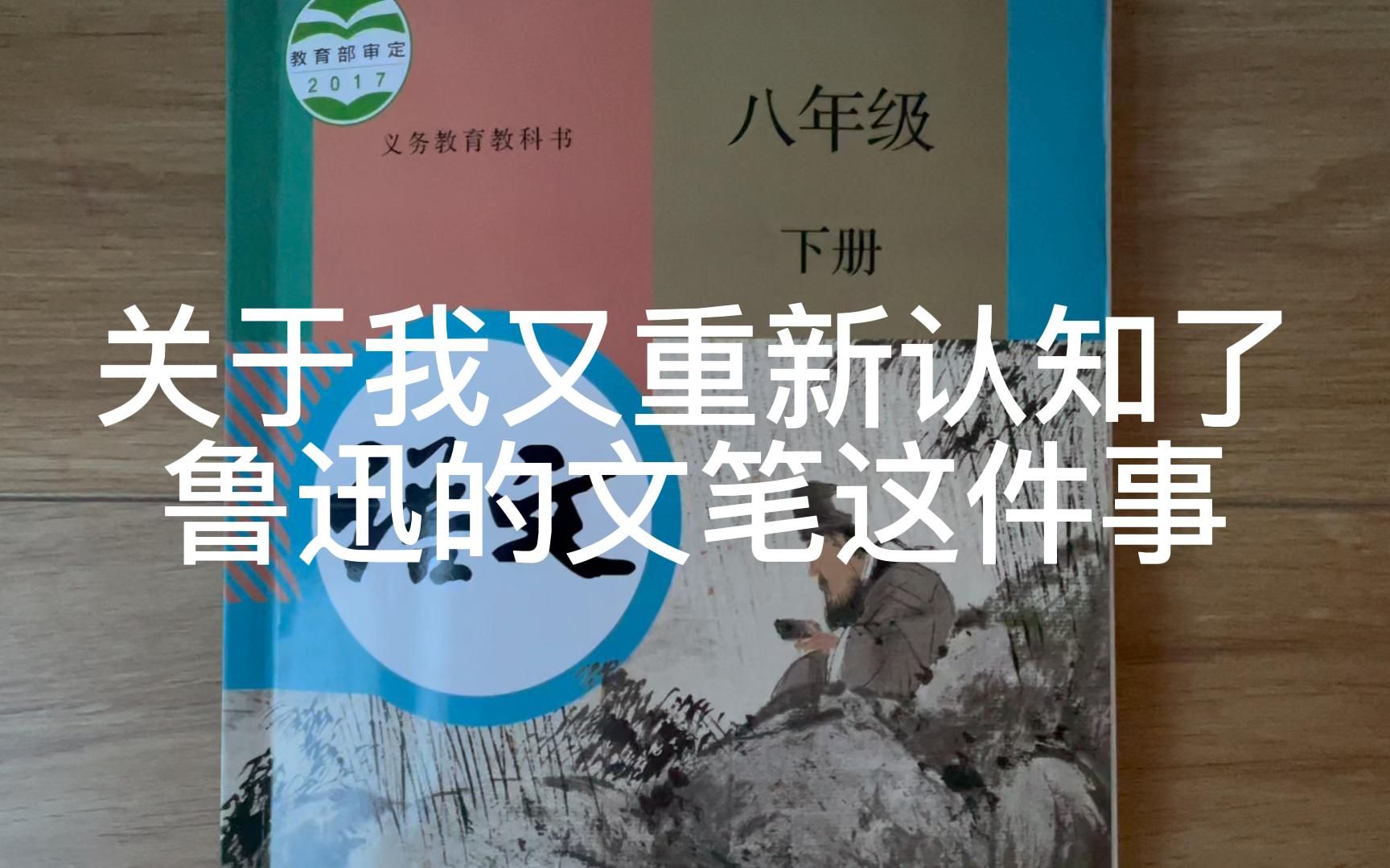 《关于我又重新认知了鲁迅的文笔这件事》哔哩哔哩bilibili