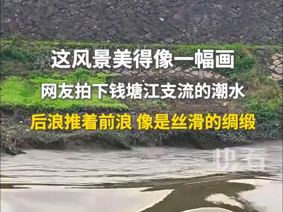 这风景美得像一幅画,网友拍下钱塘江支流的潮水,后浪推着前浪,像是丝滑的绸缎.哔哩哔哩bilibili