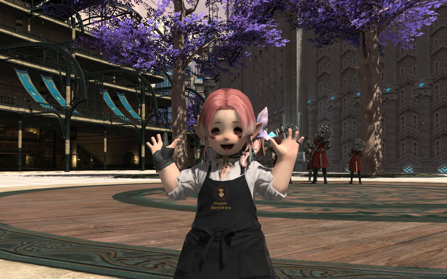 【ff14】极哈迪斯 极肥宅 过本留念