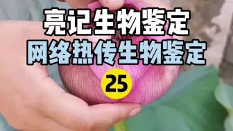 亮记生物鉴定 网络热传生物鉴定24 哔哩哔哩 Bilibili