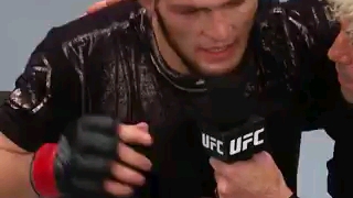 Ufc 小鹰的新比赛哔哩哔哩bilibili