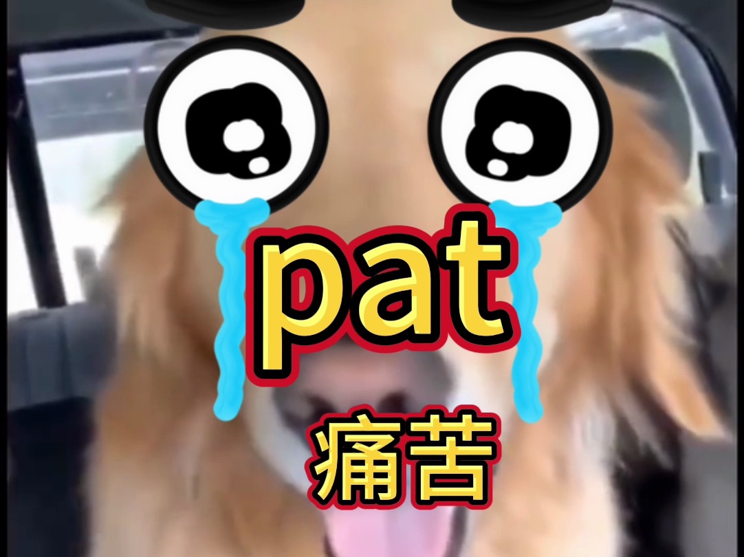 词根pat,瞬间记住五大考研核心词汇!哔哩哔哩bilibili