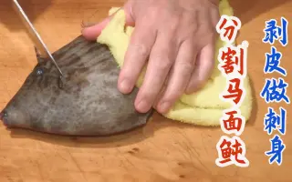 马面鲀_ 搜索结果_哔哩哔哩_Bilibili
