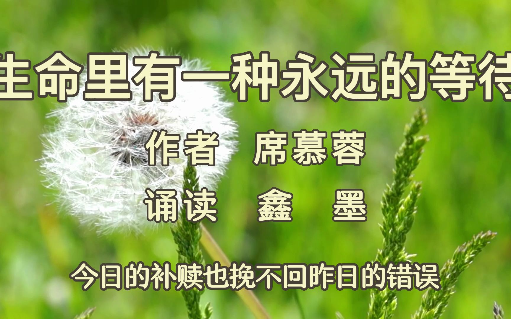 鑫墨诵读——席慕蓉经典散文《生命里有一种永远的等待》哔哩哔哩bilibili