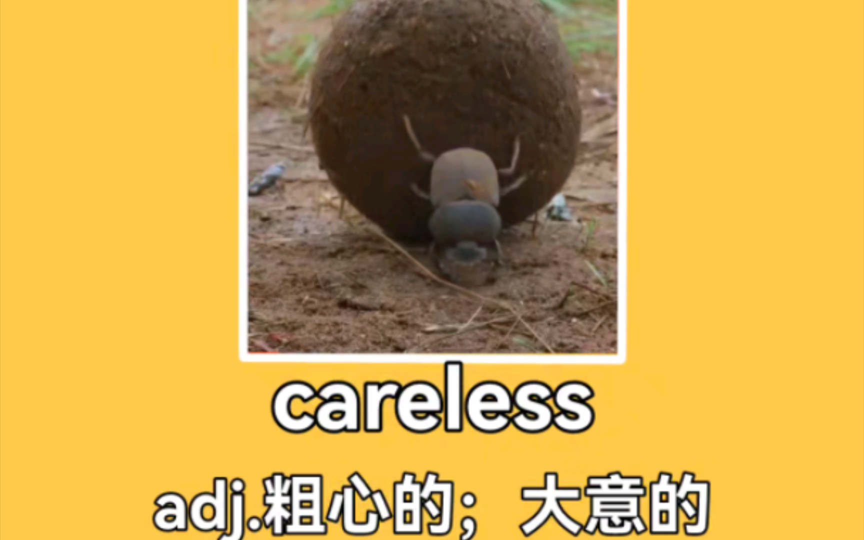 【屎壳郎你犯法了知道吗!】careless 粗心的;大意的哔哩哔哩bilibili