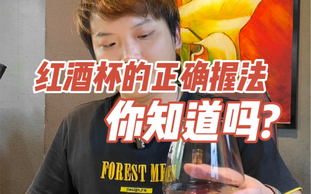 红酒杯的正确握法,你知道吗?哔哩哔哩bilibili