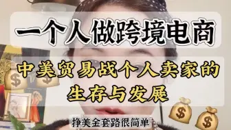 中美贸易战个人卖家的生存与发展