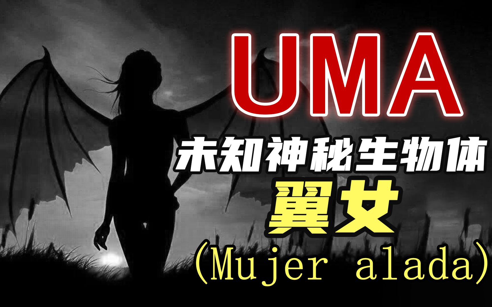 [图]【UMA系列】第二十五期：越南有翼飞女