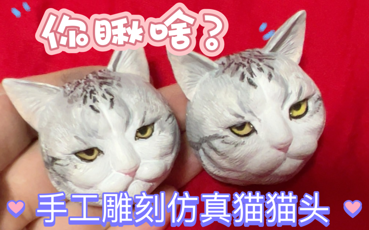 【狸胖自制第15期】仿真猫猫头,猫咪纪念雕塑,动物雕塑过程,材质是美国土,仿真眼也是手工制作,欢迎大佬交流学习.哔哩哔哩bilibili