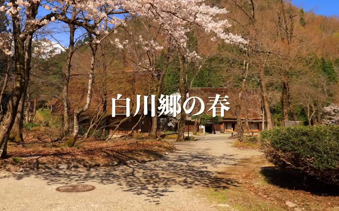 【白川郷 春夏秋冬】日本三大秘境の絶景を訪ねて japan in 8k