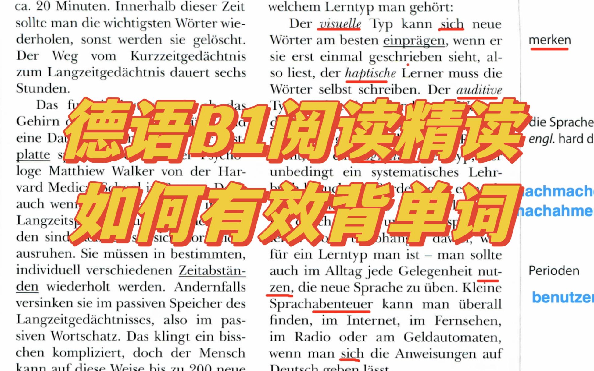 【德语B1阅读精读】如何更有效、长时间地记住单词?哔哩哔哩bilibili