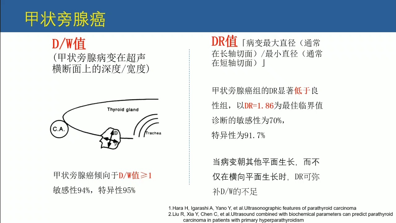 甲状旁腺声像图表现图片