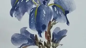 Tải video: 国画写意花鸟