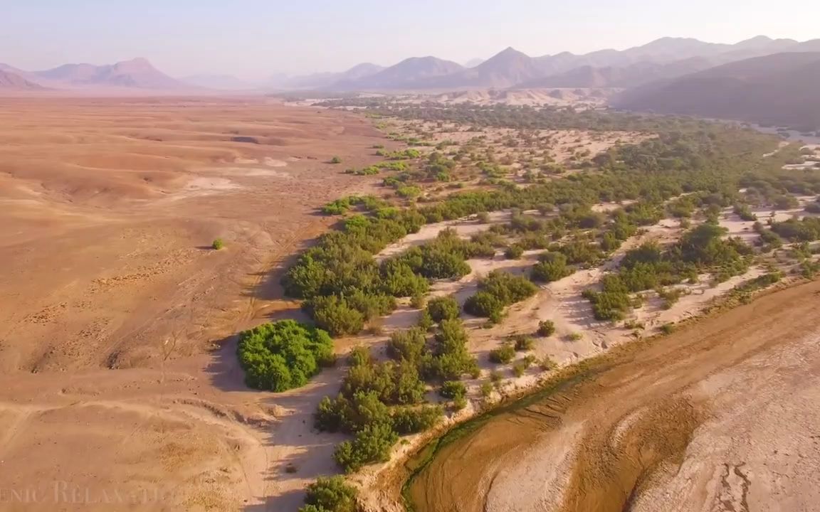 [图]非洲4K-辽阔草原，野生动物，航拍鸟瞰图