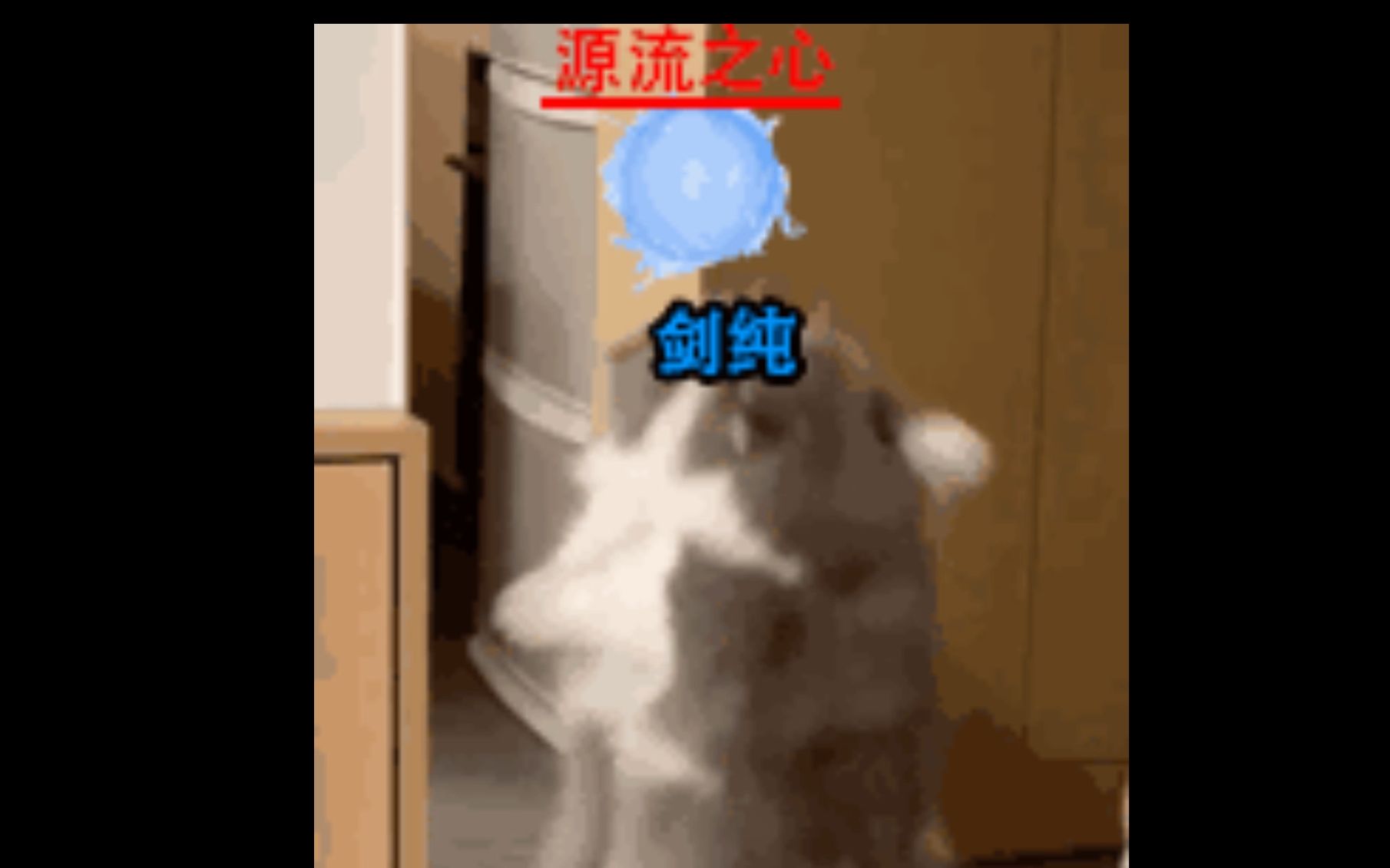 竞技场里也有源流之心吗?哔哩哔哩bilibili