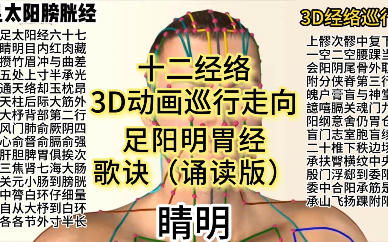 [图]足太阳膀胱经3D动态