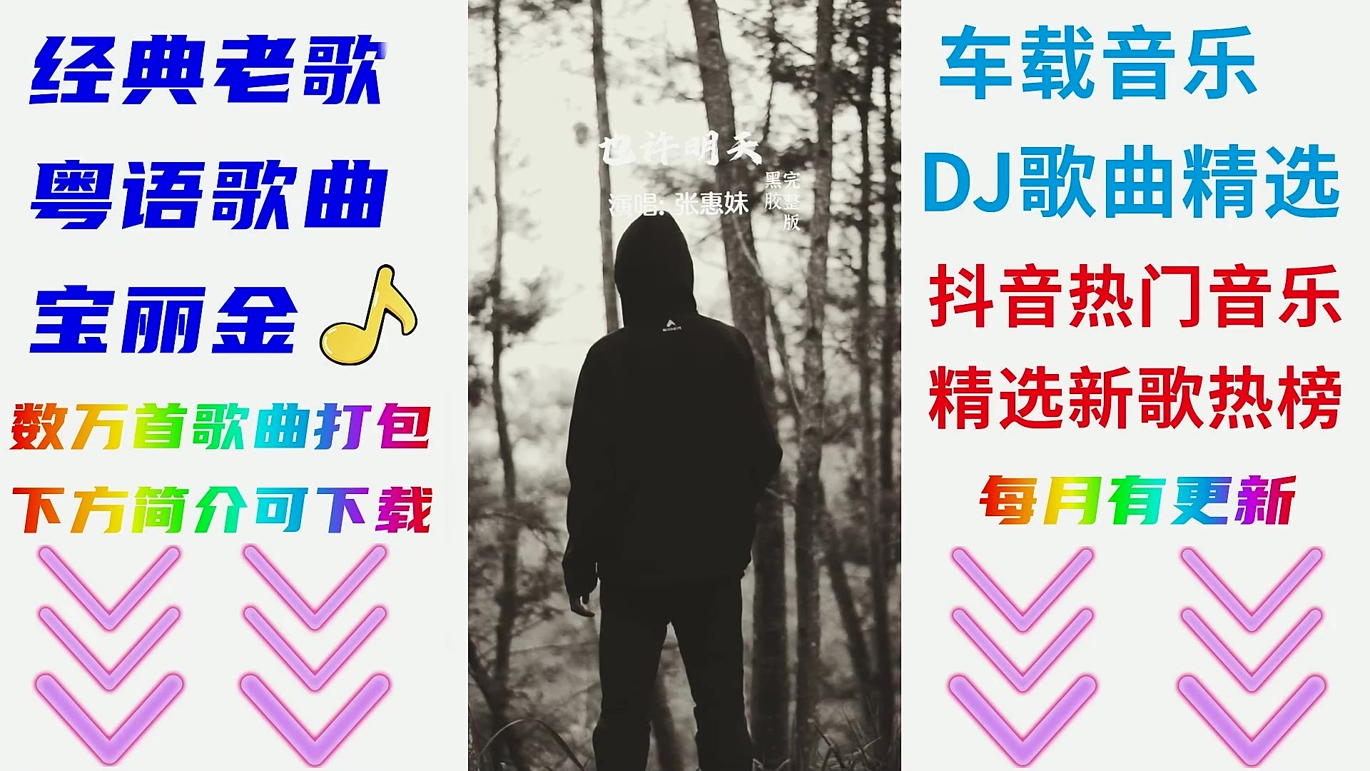 邓丽君经典歌曲音乐下载歌曲经典老歌合集百度网盘哔哩哔哩bilibili