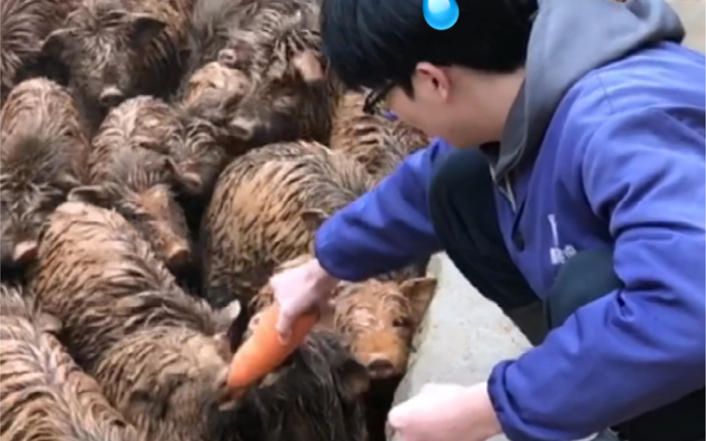 [图]当代大学生年后现状