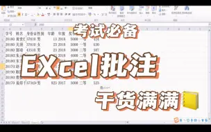 Download Video: EXCEL批注